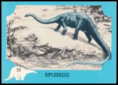 64 Diplodocus
